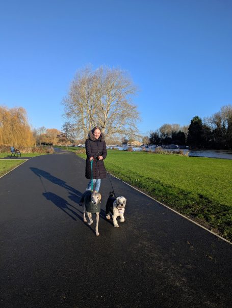 Walking the dogs in St Neots Riverside Park